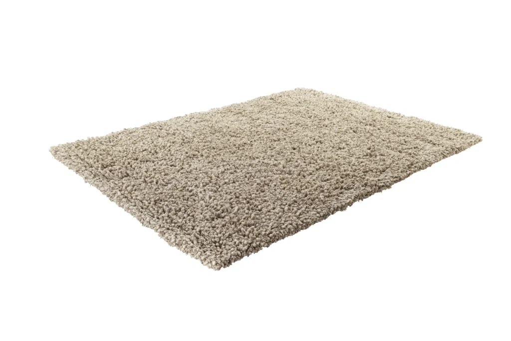 Carpet and stairs cleaning